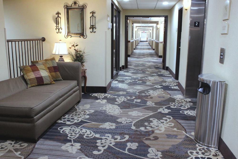 Spark By Hilton Branson Meadows Luaran gambar